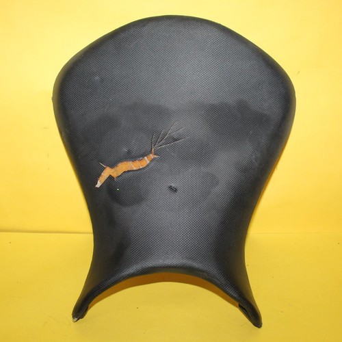 シックスパット 07-08 KAWASAKI NINJA ZX-6R ZX600 ZX6R FRONT