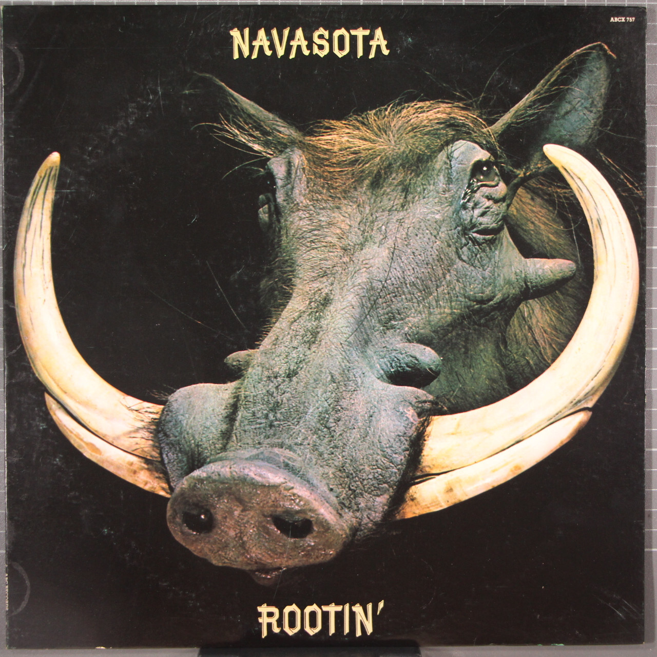 ●NUBIAN CARTEL Navasota Rootin' LP ABC ABCX 757 WLP Flo and Eddie Steely