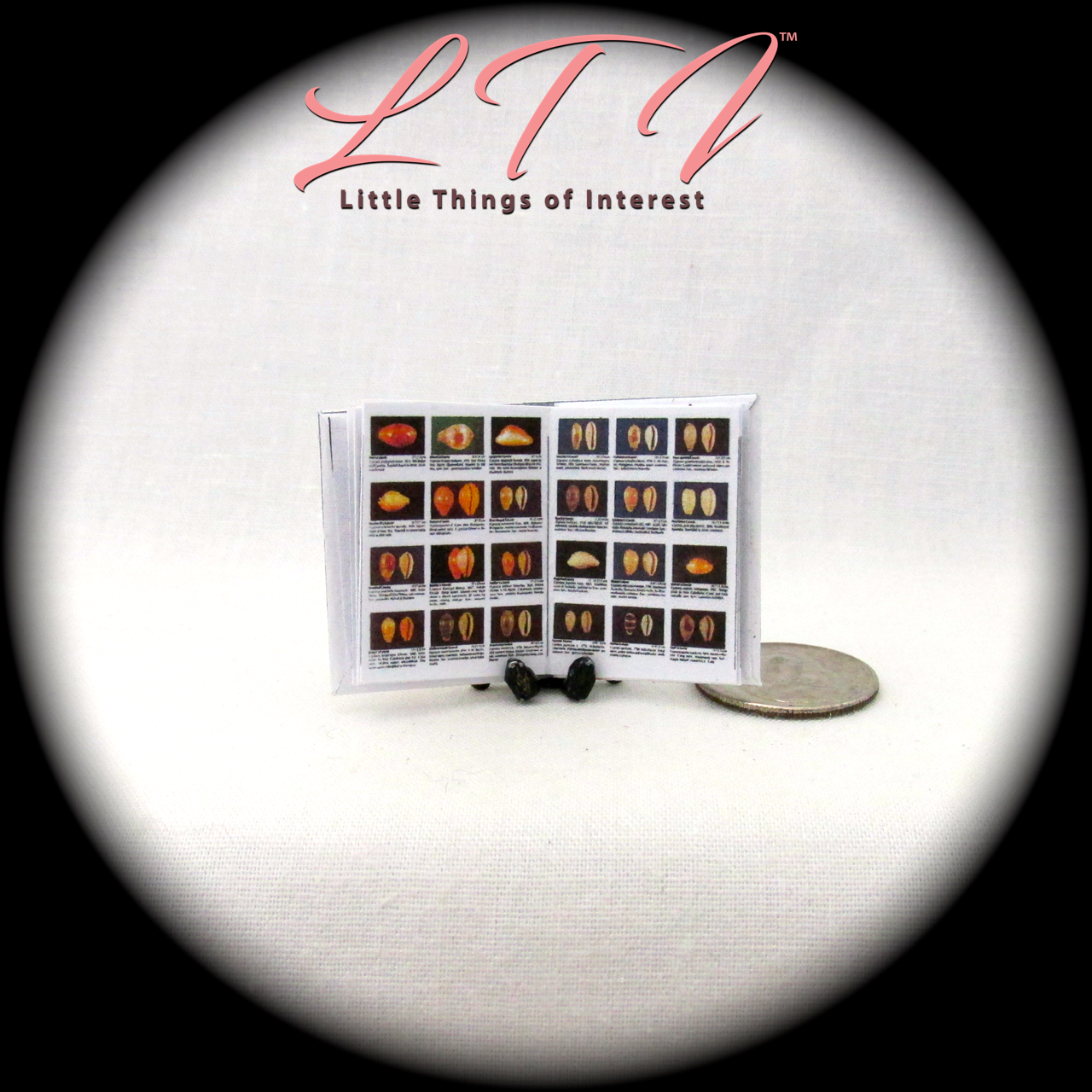 BOOK OF SEASHELLS 1:12 Scale Miniature Readable Illustrated Book