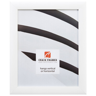 Craig Frames Contemporary, 16x24 1 Inch Wide Modern White Pi