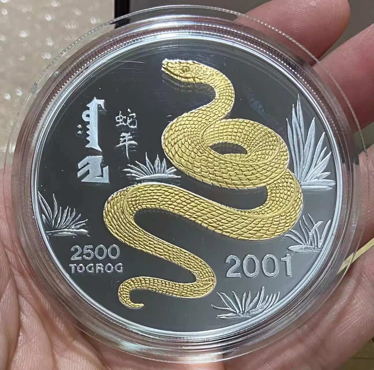 $_57.JPG?set_id=880000500F