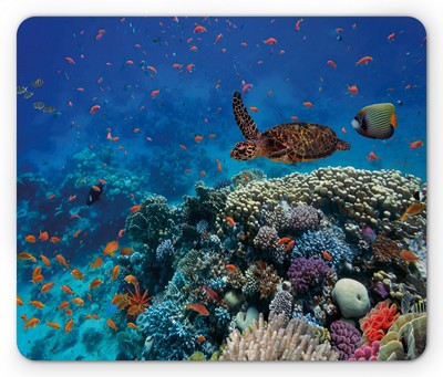 Ambesonne Fish Pattern Mousepad Rectangle Non-Slip Rubber