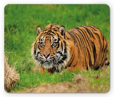 Ambesonne Wild Cat Design Mousepad Rectangle Non-Slip Rubber