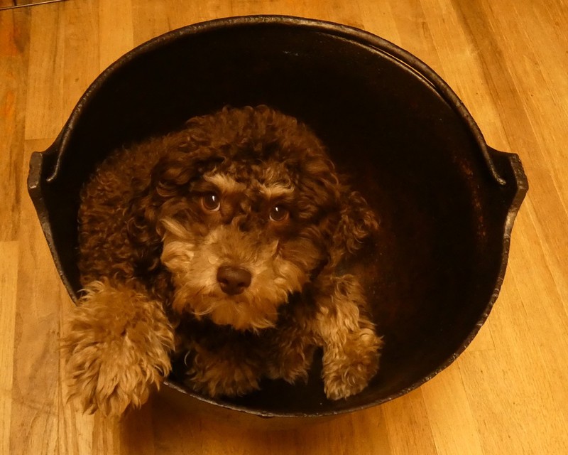 Antique TABERG Iron 7 Gallon Cauldron Pot Double Gate Mark