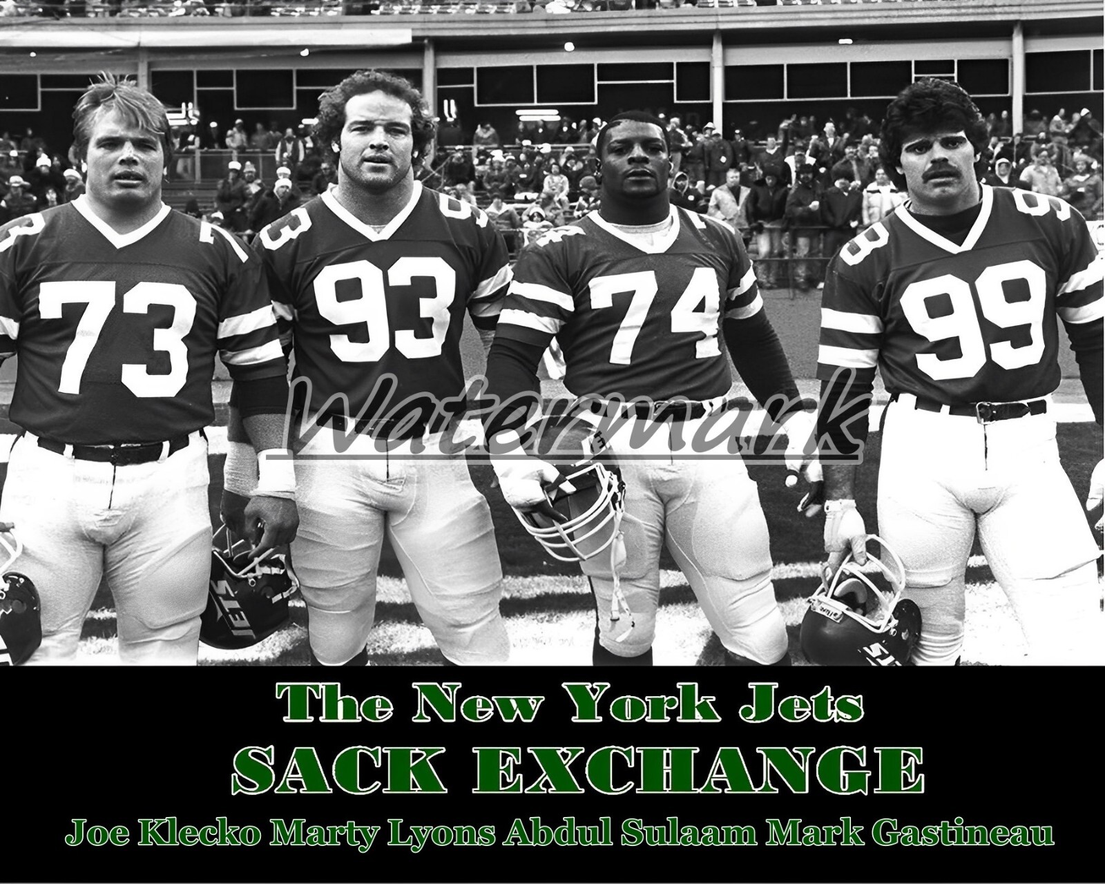 Santenay Grafé Lecocq & Fils 1947 エチケット NY Jets signed 16x20 Photo Sack Exchange Framed 4 Auto Joe
