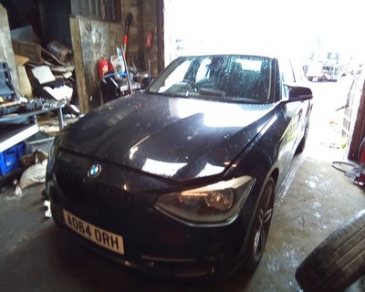 Picture 3