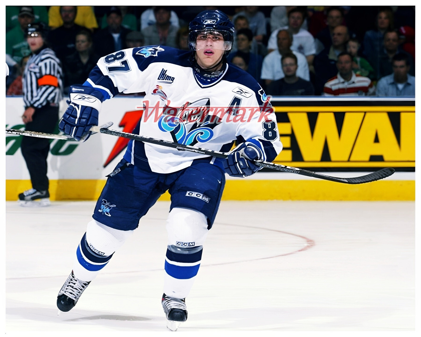QMJHL Sidney Crosby Rimouski Océanic Color 8 X 10 Photo