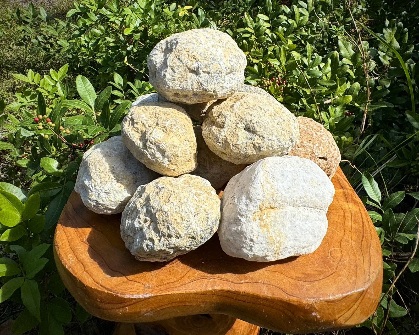 JUMBO Break Your Own Geodes Wholesale Lots - Unopened Moroccan Calcite Crystals