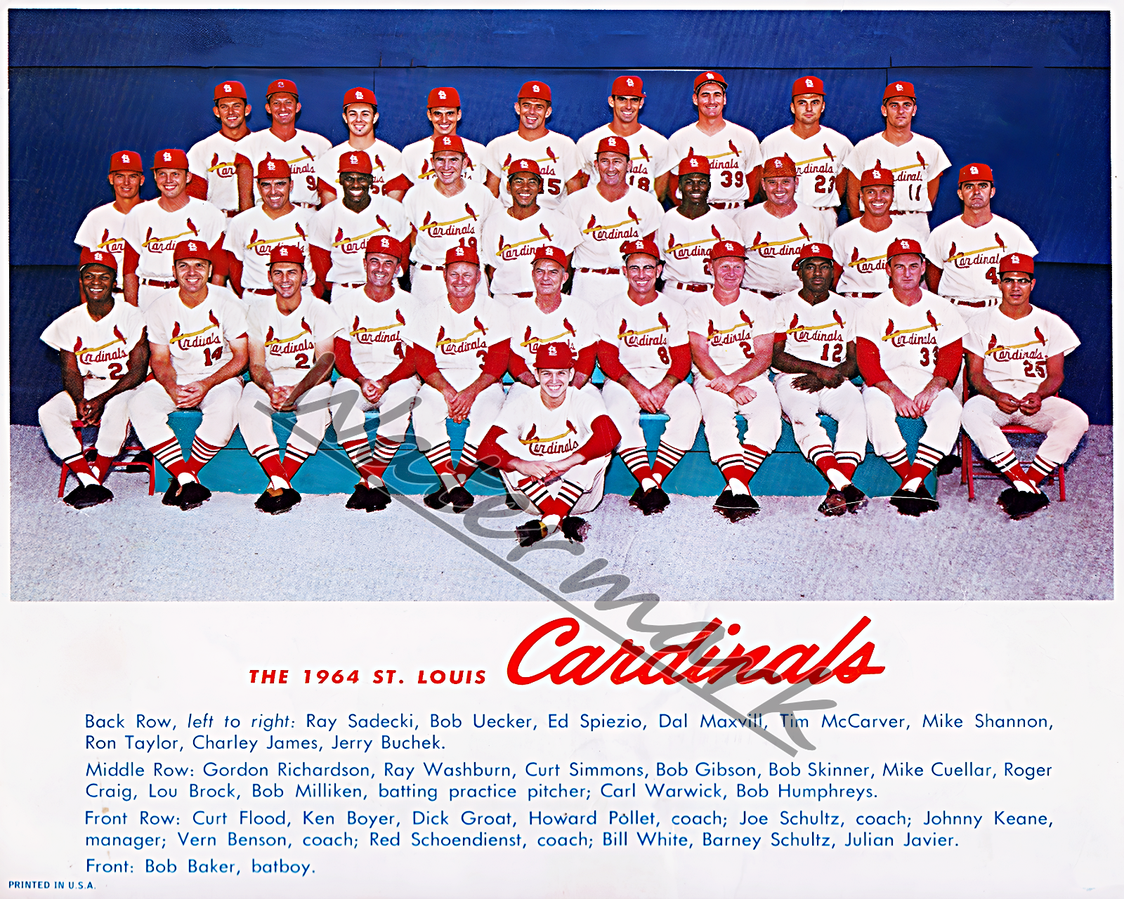 MLB 1964 St. Louis Cardinals World Series Champions Team Pic