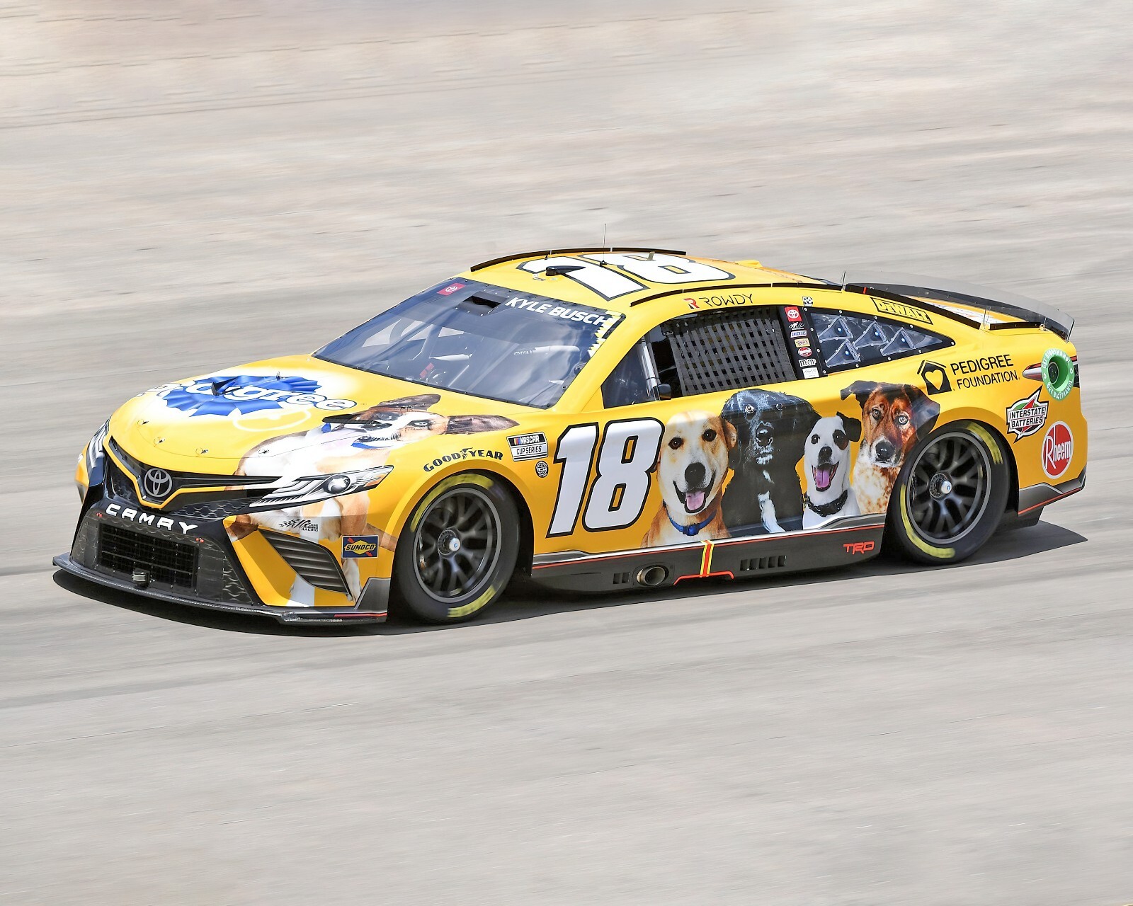 Kyle Busch #18 2019 NASCAR 1:24  Case＋車体 Kyle Busch #18 2019 NASCAR 1:24 Case＋車体 Kyle Busch #18
