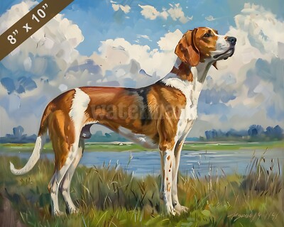 American Foxhound painting in a peaceful field 8x10 Print 