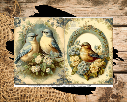 Spring Birds | A4 8.3" x 11.7" | Rice Paper for Decoupage | Decoupage Central