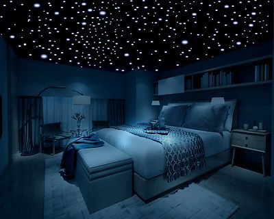 Glow in the Dark Stars 600 Stars 3D SelfAdhesive Domed Stars Bedroom Ceiling