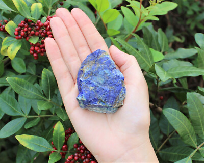 LARGE Rough Lapis Lazuli Chunks, 2'' - 3'' (Blue Raw Crystal Gemstone Specimen)