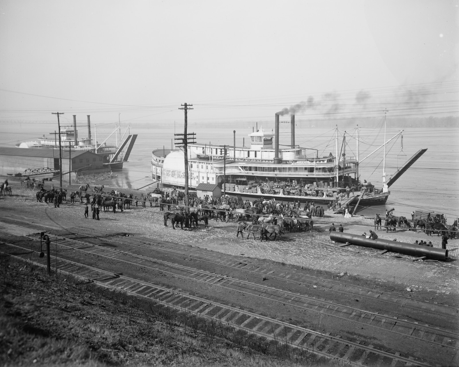 1915年製 STEAMBOAT WAVE BACK 1915年製 STEAMBOAT WAVE BACK - メルカリ