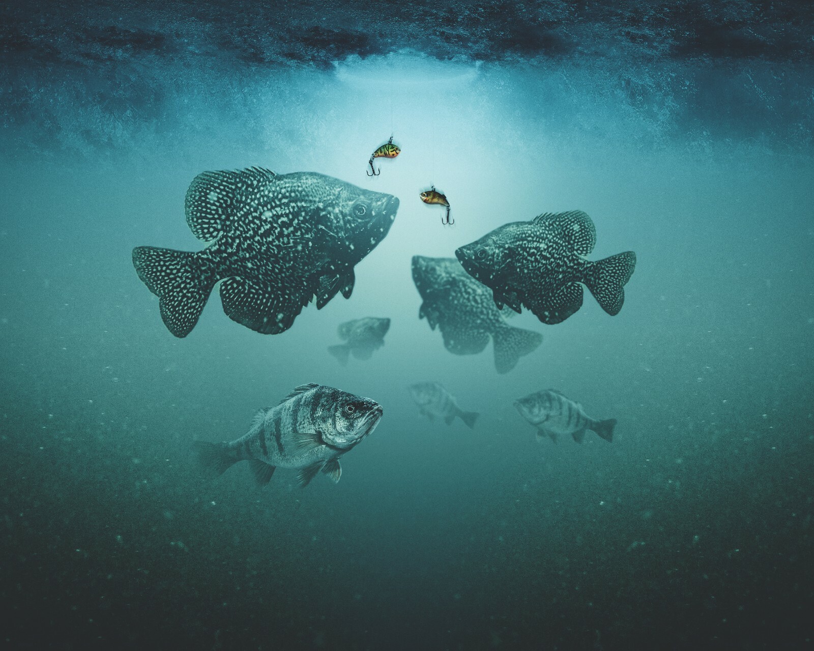 3 Pack - Tungsten Ice Fishing Jigs - GOLD WONDERBREAD (6 Size Variations)