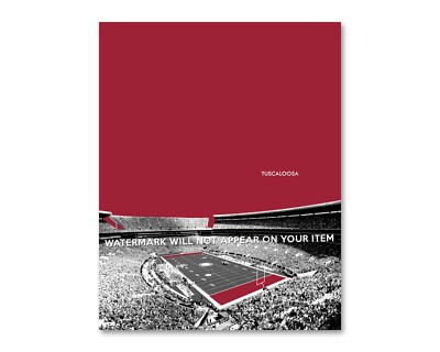BRYANT-DENNY Stadium Photo Picture Art TUSCALOOSA Skyline 8x10 11x14 16x10 (V2G)