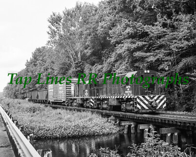 Hampton & Branchville 81 & 80 Salkahatchie River near Miley SC NEW 8x10 PHOTO