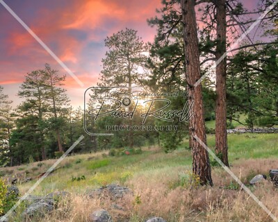 Digital Image Wallpaper Background Desktop Art