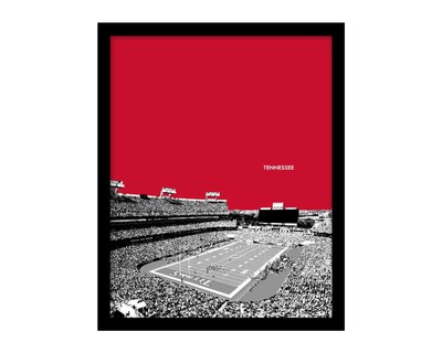 TENNESSEE TITANS Framed NISSAN STADIUM Skyline Football Photo Picture 8x10 11x14