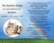 personalized rainbow bridge pet loss memorial poem dog cat