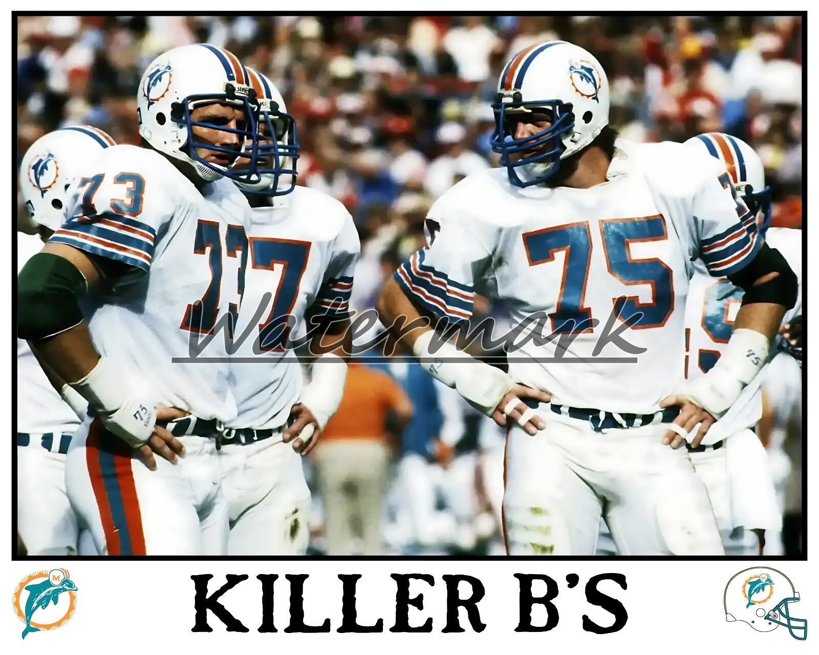 NFL Betters Bauhmauer Miami Dolphins Killer B's Color 8 X 10