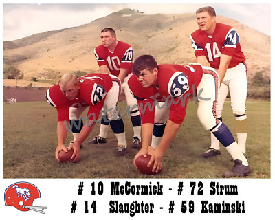 AFL 1966 Denver Broncos Starting Quarterback's Color 8 X 10 Photo Picture