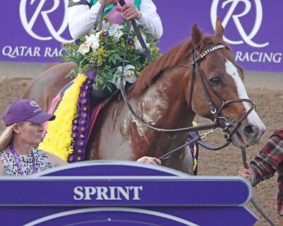 COLOR ELITE POWER  Breeders Cup Sprint Winner #5  Winners Circle