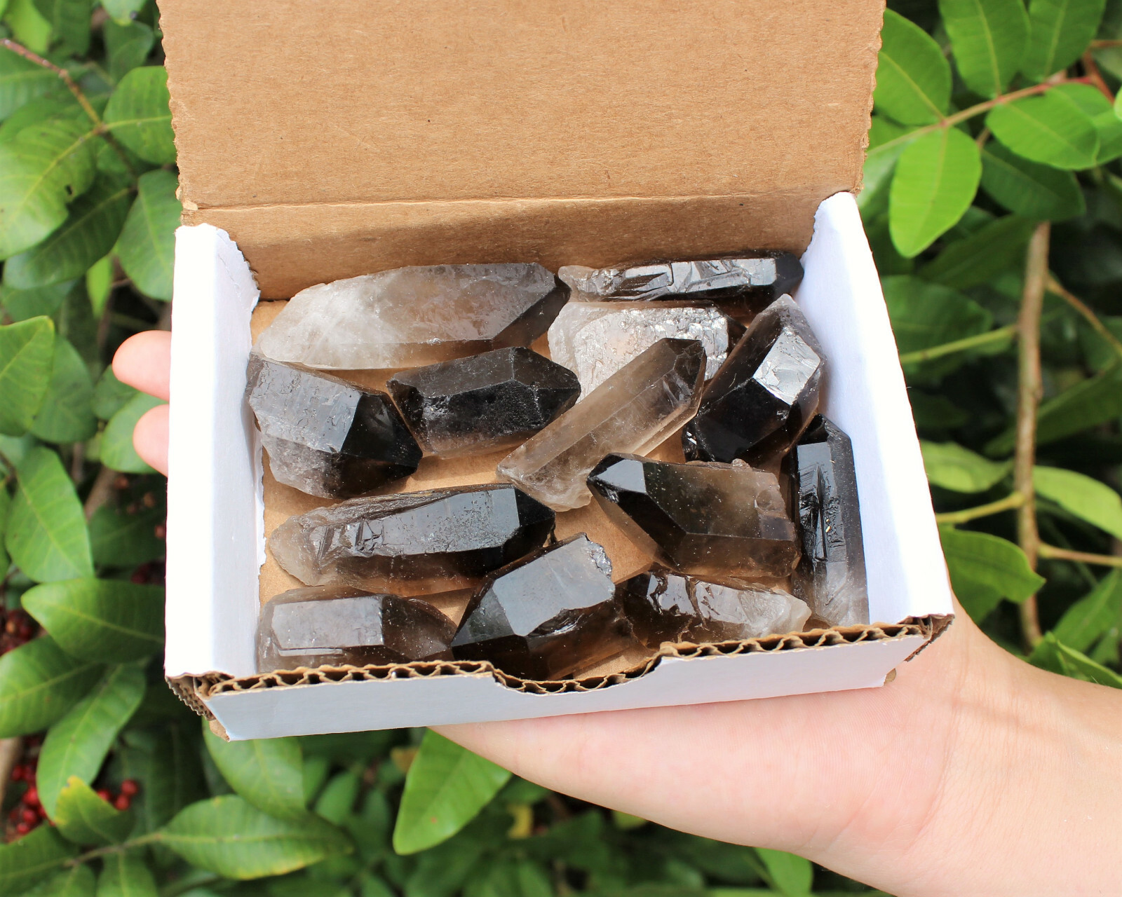 1/2 lb (8 oz) Smoky Quartz Crystal Points, Box Lot (0.75" - 2", Smokey Quartz)