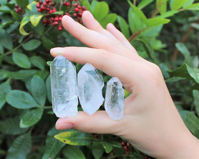 Lot of 3 LARGE Clear Quartz Point Crystals: 1'' - 1.5'' Crystal Points (US Seller)