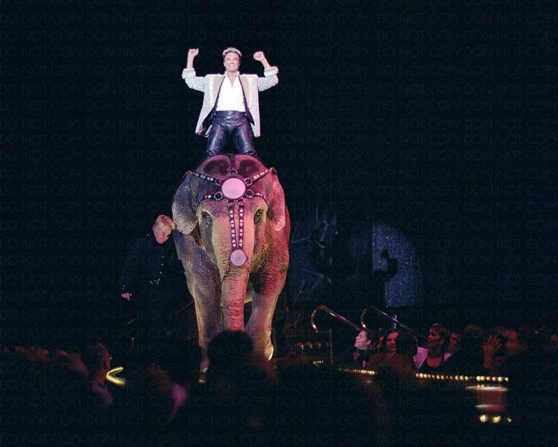 ROY HORN TRIUMPHANT APPEARANCE ON AN ELEPHANT / Archival Magicians Photo Reprint