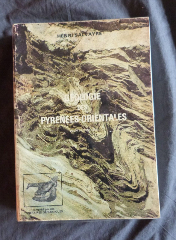 Henri Salvayre, 