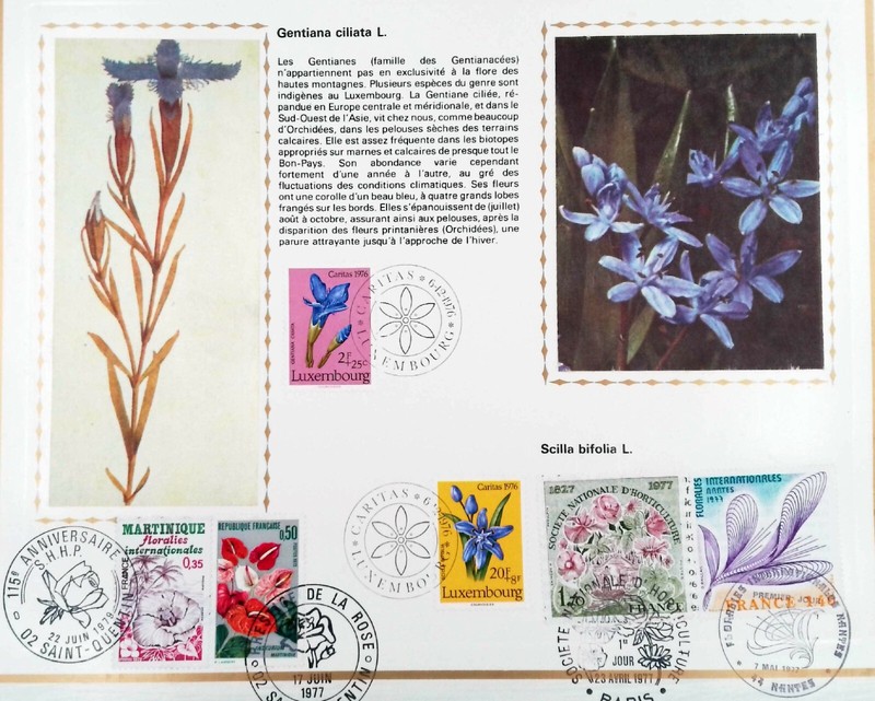 Luxembourg  Caritas 1976 Fleurs  France   Feuillet PhilatÃLique Cef 17