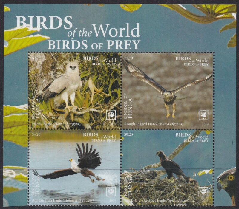 Tonga (2019) Birds Of Prey, Large Stamp - Bk/4, Top