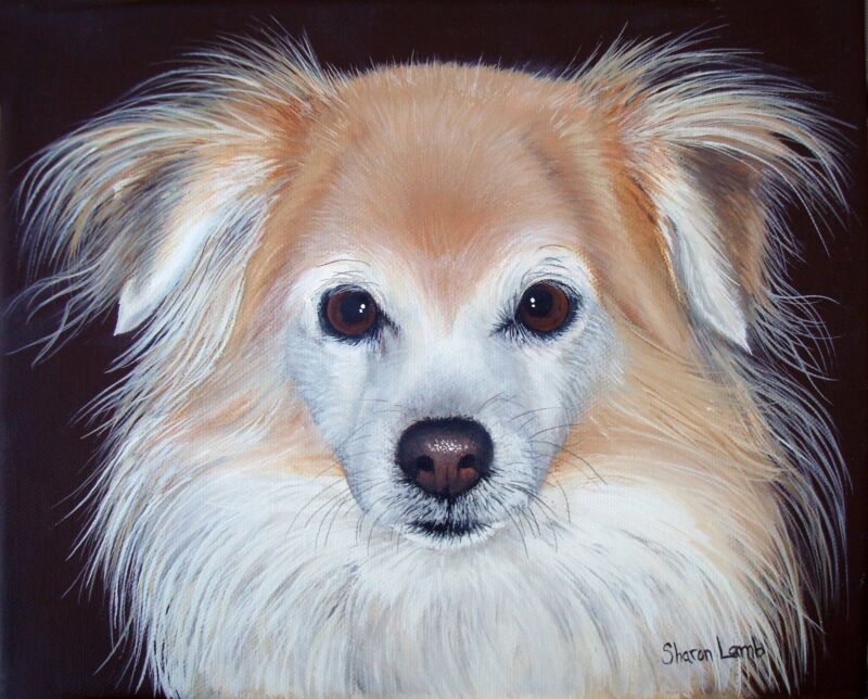 9x12 Custom Pet Painting Commission Pet Portrait Animal Artist Sharon Lamb