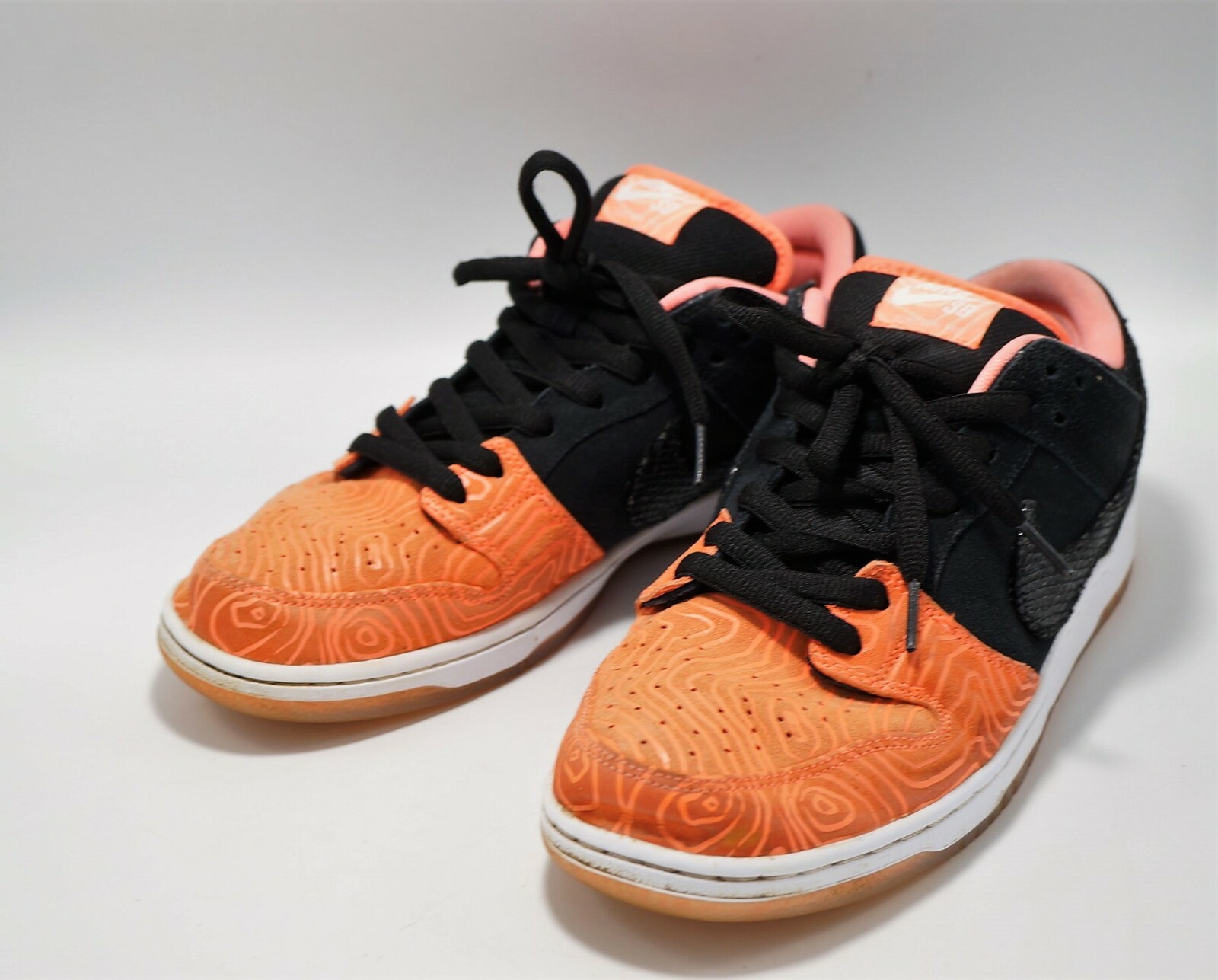 nike sb fish ladder