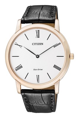 Citizen AR1113-12B Automatic Mens Watch US*4