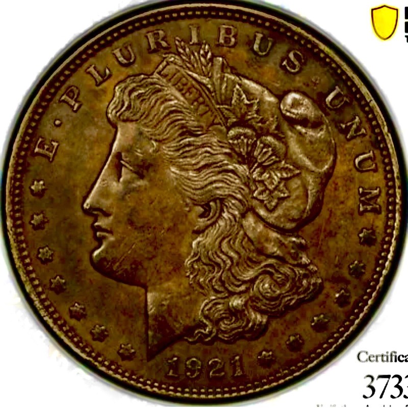 1921 Morgan Dollar HOT 50 VAM 1B1 Beautiful Tone Excellent