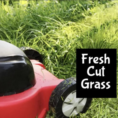 FRESH CUT GRASS Perfume Cologne Body Splash Scrub Lotion Bath Fragrance Oil