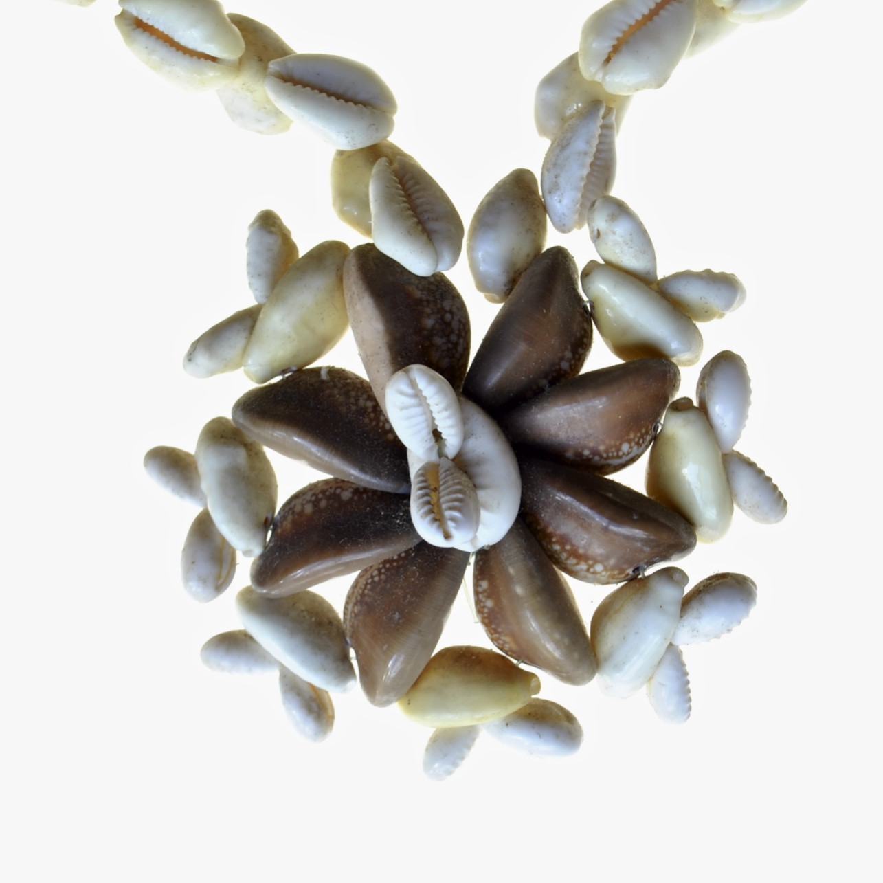 Cowry Shell Necklace Original Vintage Tribal Artifact from Papua New Guinea