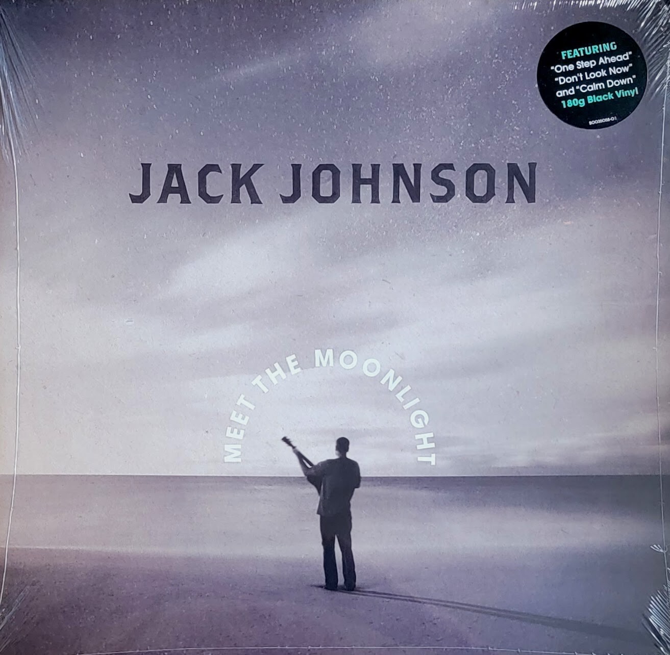 JACK JOHNSON/MEET THE MOONLIGHT 重量版LP Meet The Moonlight Vinyl | Featured | Jack Johnson
