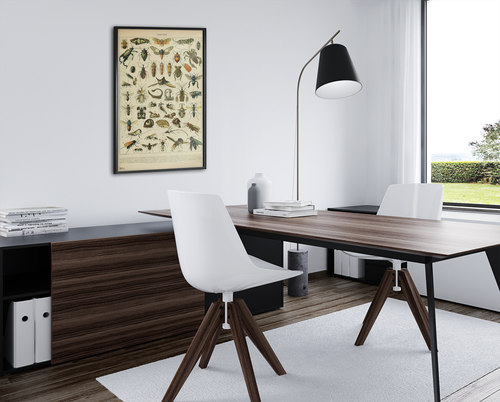 Butterfly Vintage Papillons Insect Art Print Poster 12x18