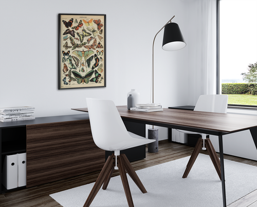 Butterfly Vintage Papillons Insect Art Print Poster 12x18