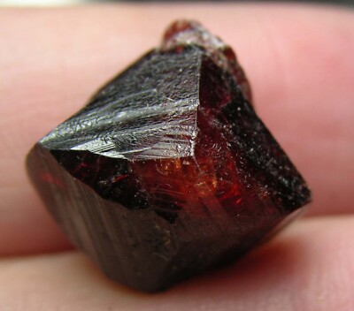 #31 Afghanistan 29.2ct Natural Octagonal Brownish Red Zircon Specimen 5.85g 14mm