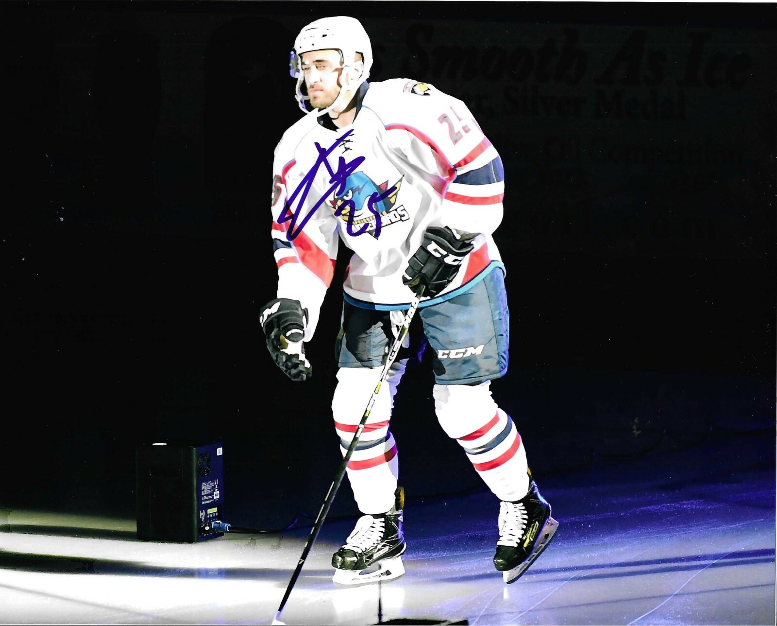 Anthony Greco New York Rangers Springfield Thunderbirds