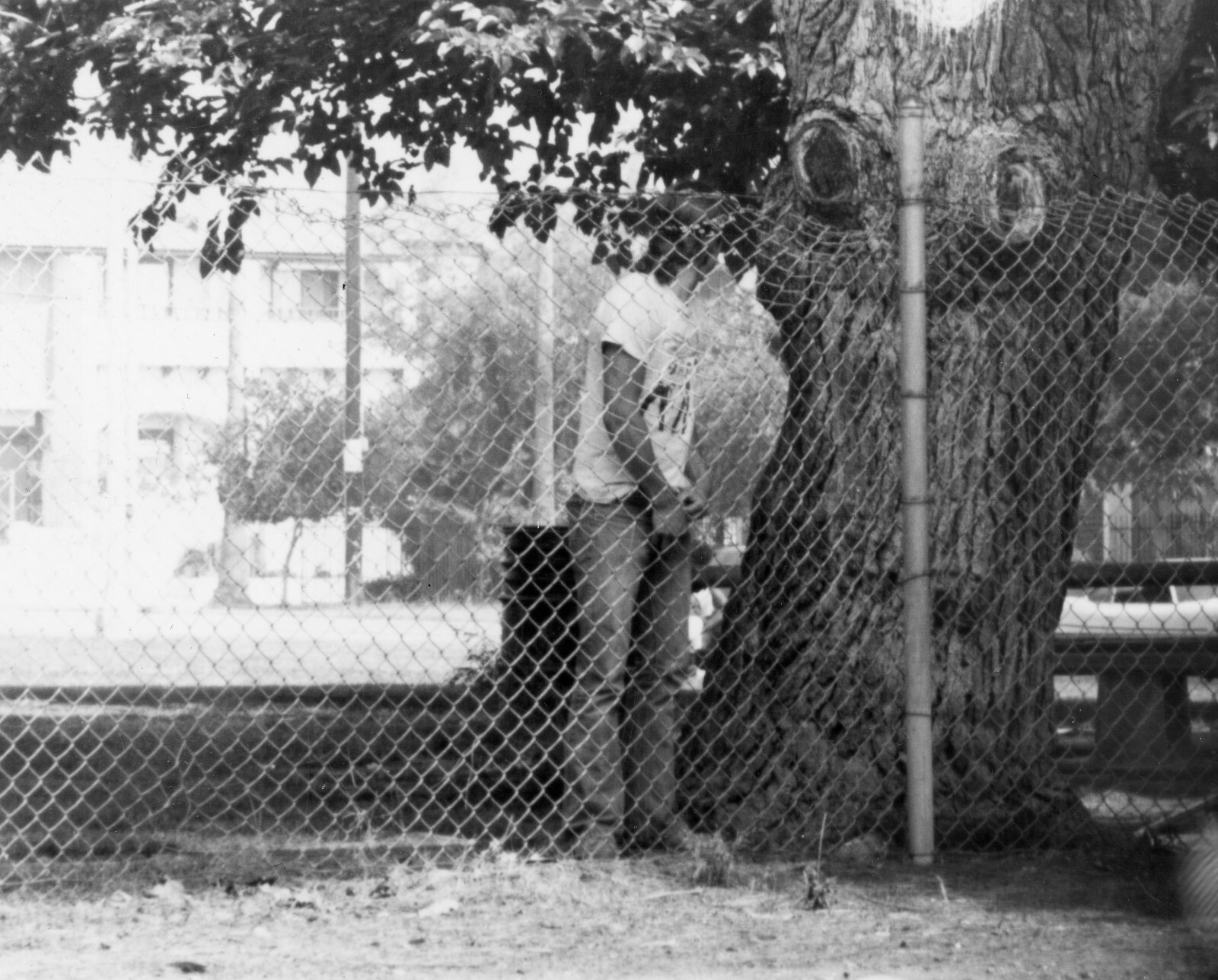 vintage peeing Vtg 1980's Guy Secretly Zipping Down Pants Peeing Behind A Tree Photo #452  | eBay