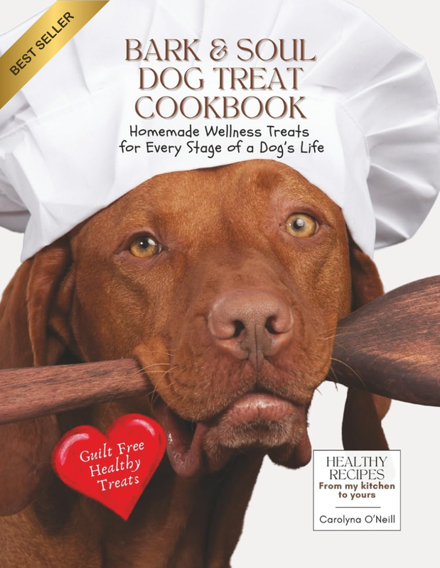 Bark & Soul Dog Treat Cookbook: Homemade Wellness Treats for Every Stage of a Do