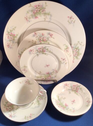 Vtg Thomas Haviland NY - APPLE BLOSSOM 6 Pc Place Setting (10.75" Dinner Plate)