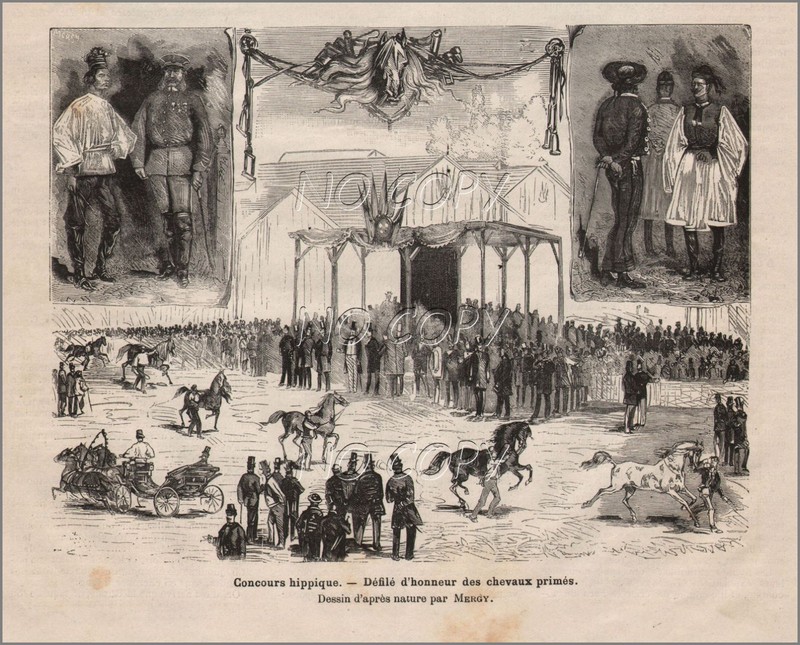 1878 : Illustration / Gravure : Concours Hippique Par Mergy