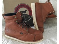 irish setter 83632